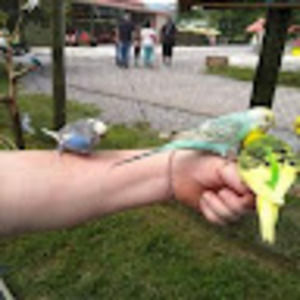 Meet your Posher, Wanda